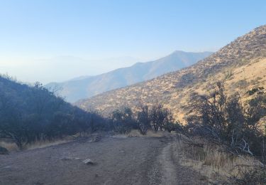 Excursión Senderismo Las Condes - Morro las papas - Photo