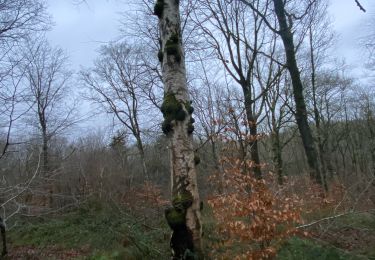 Tocht Stappen Gerpinnes - Fromiée Hymiée et retour  - Photo