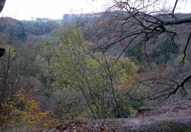 Randonnée A pied  - Yew Tree Trail - Photo