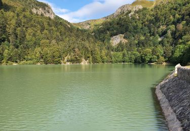 Tour Wandern Stoßweier - rdpr gaschney - Photo