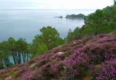 Tocht Stappen Crozon - Pointe de Morgat - Cap de la Chèvre Boucle GR34 - 19.7km 500m 6h00 - 2019 09 13 - Photo