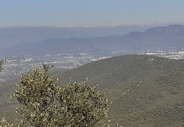 Randonnée Marche Sainte-Maxime - Ste Maxime. St Aygulph par les colines - Photo