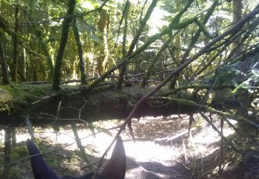 Trail Horseback riding Royère-de-Vassivière - Vassivière J3 - Photo