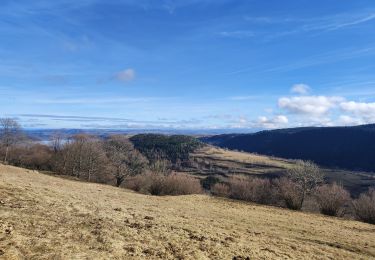 Trail Walking Albepierre-Bredons - Auzolles La Molede  - Photo