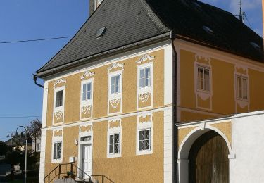 Randonnée A pied Niederkappel - Wanderweg Teufelskirche - Photo