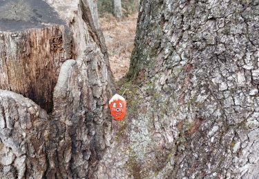 Trail Walking Fontainebleau - canon  - Photo