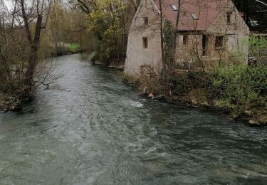 Trail Walking Yerres - La der à GG - Photo