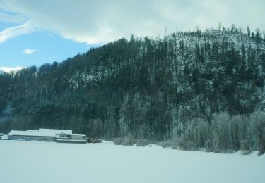 Tour Zu Fuß St. Wolfgang im Salzkammergut - Bürglsteig - Photo