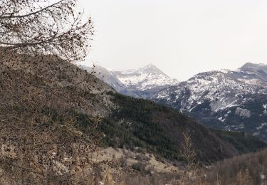 Trail Snowshoes Saint-Martin-d'Entraunes - Col des Champs  - Photo