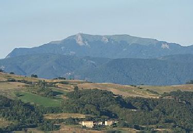 Excursión A pie Travo - Trail delle Pietre - Photo