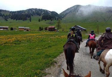 Trail Horseback riding Mont-Saxonnex - rando Bargy Yoan 1/2 - Photo