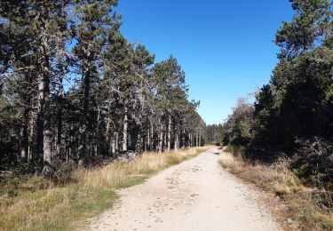 Trail Walking Les Salces - GR60 je Saint Germain de Teil - Photo