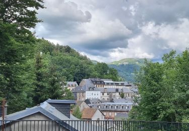 Tour Wandern La Bourboule - 2021-07-07 le barrage la bourboule - Photo