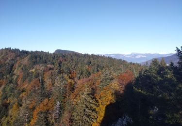 Percorso Sentiero La Bauche - Mont Beauvoir  - Photo
