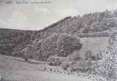 Randonnée Marche Bièvre - Marche Adeps 15 km Petit-Fays - Photo