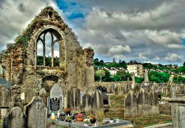 Randonnée A pied The Municipal District of East Cork - Youghal Foxhole Loop walk - Photo