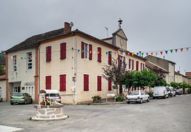 Tour Zu Fuß Tanus - Sentier de Pays des Gorges du Viaur - Photo