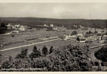 Randonnée A pied Muldenhammer - Pyratalweg - Photo