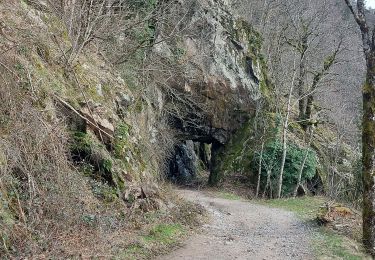 Tocht Stappen Metzeral - Wormsa Kastelbergwasen - Photo