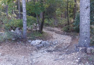 Randonnée V.T.T. Mormoiron - Plaine de l'escalier / Enduro Rouge - Photo