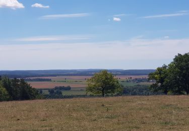 Randonnée Course à pied Euffigneix - euffigneix, autreville par la pierre qui tourne - Photo