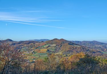 Tour Zu Fuß Borgoratto Mormorolo - Anello di Borgoratto - Photo