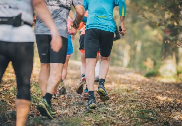 Tocht Trail Florenville - Trail Gourmand - Photo