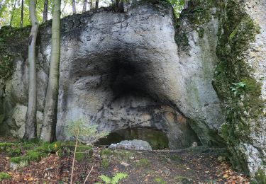 Tocht Te voet Pommelsbrunn - Rundweg Claramühle-Ameisenberg - Photo