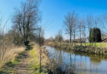 Trail Walking Hasselt - Le parc du Prinsenhof à Kuringen - Photo