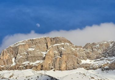 Tour Schneeschuhwandern Méolans-Revel - EMBRUN JOUR 5 : Valon du Lavercq - Photo