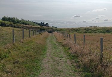 Trail Walking Oye-Plage - le platier d’oye - Photo
