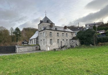 Randonnée Marche Namur - Lives sur Meuse 21,7 km - Photo