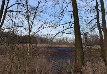 Randonnée A pied Luckaitztal - Rundwanderweg Buchwäldchen - Photo