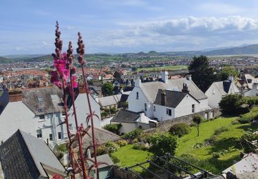 Tocht Stappen  - Randonnée au dessus de la colline au dessus de Llandudno  - Photo