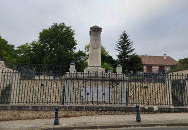 Percorso Marcia Saint-Maur-des-Fossés - Le sentier de la bataille de Champigny  - Photo