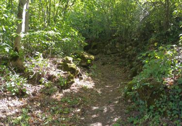 Randonnée Marche Aymavilles - la pinetta pont ael - Photo