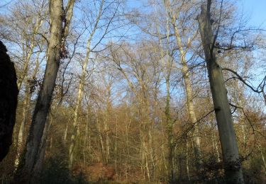 Tocht Stappen Oissel - 20220111-Oissel-Les Essarts - Photo