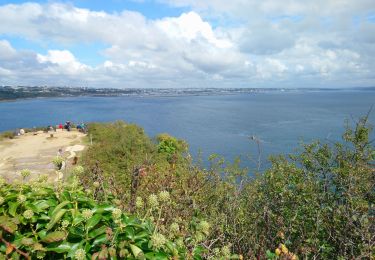 Excursión Senderismo Roscanvel - Quélern - Pointe des Espagnols Boucle GR34 - 20.2km 325m 5h15 (35mn) - 2019 09 10 - Photo