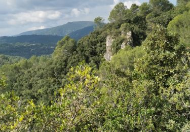 Trail Walking Méounes-lès-Montrieux - meounes grotte du rampin - Photo