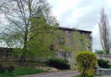 Tour Zu Fuß Marville - Boucle de promenade à Marville 2, France - Photo