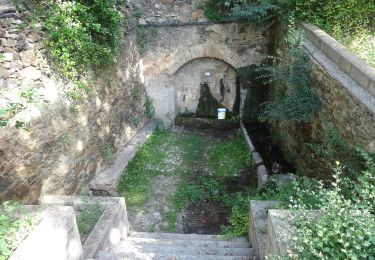 Trail On foot el Lloar - Vinyes a vista d'ocell - Photo