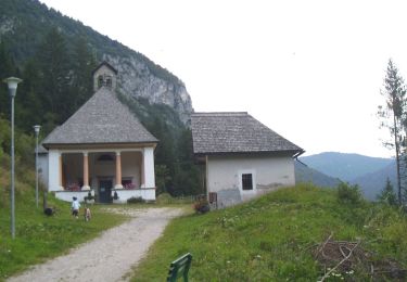 Tocht Te voet Lozzo di Cadore - Anello del Troi de le Ciaure - Photo