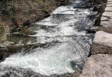 Tocht Stappen Cabrespine - boucle du pas de l'aube - Photo