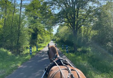 Excursión sport Mur-de-Sologne - Route de Fontjouan - Photo