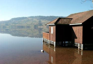 Trail On foot Aesch (LU) - Aesch - Hitzkirch - Photo