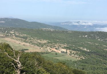 Trail Walking Plan-d'Aups-Sainte-Baume - Le pic de Bertagne au départ de l’hôtellerie  - Photo