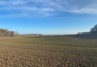 Tocht Stappen Gerpinnes - La belle haie  - Photo