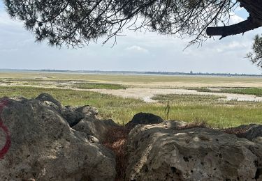 Trail sport Le Château-d'Oléron - Reconnaissance dÃ©part,Le chÃ¢teau dâOlÃ©ron - Photo