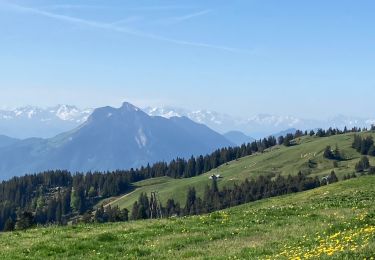 Excursión Senderismo Leschaux - Semnoz - Photo