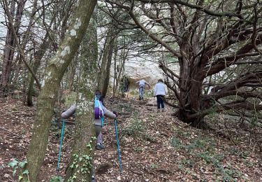 Percorso Marcia Plan-d'Aups-Sainte-Baume - la grottes betton ste beaume - Photo